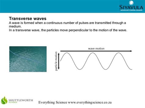 transverse waves