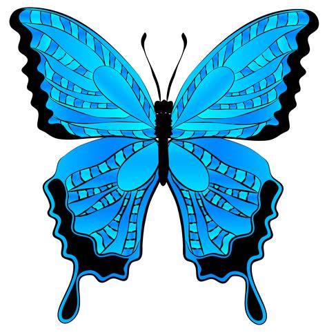 butterfly image clip art clipart