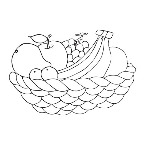 fruit basket coloring page  kids vector illustration eps  image