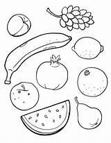 Fruits Mewarnai Printables Buah Coloriages Everfreecoloring Colour Alimentos Kaynak Viatico Niños sketch template