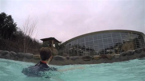 center parcs  rapids youtube