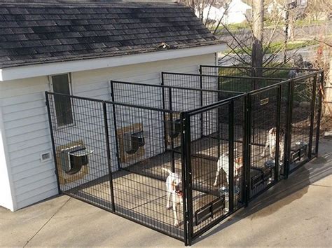 multiple kennels   indoor dog kennel dog kennel outdoor