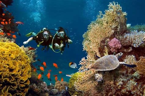 scuba diving  mauritius     thrilling dive