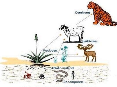 komponen ekosistem abiotik biotik penguraipola faktor