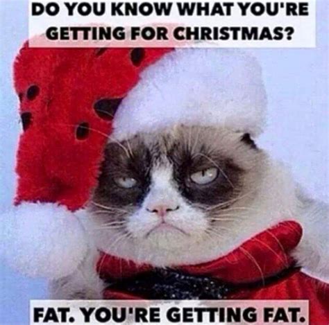 Xmas Grumpy Cat Funny Grumpy Cat Memes Christmas Memes Funny Grumpy Cat