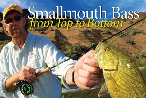 Smallmouth Bass From Top To Bottom American