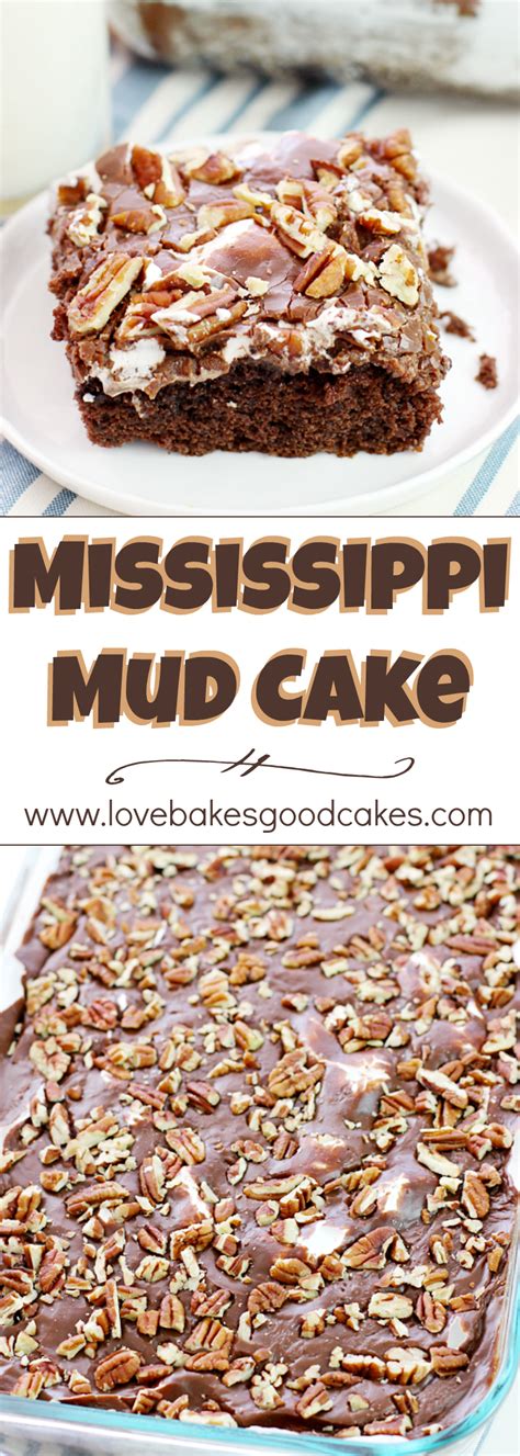 mississippi mud cake recipe desserts cake recipes mississippi mud