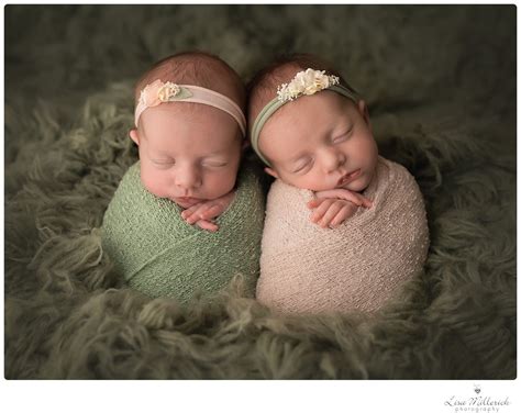 newborn baby girl twins newborn  family photographer  ct