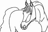 Coloring Arabian Horse Proud Wecoloringpage sketch template