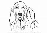 Bloodhound Drawing Draw Face Learn Paintingvalley Step sketch template