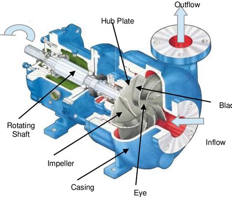 main components   centrifugal pump     scientific diagram