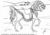 Dressur Pferd Malvorlage Coloriage Kleurplaat Ausmalbilder Dressuur Pferde Dressage Adiestramiento Addestramento Ausmalbild Schleich Kleurplaten Schulbilder Fohlen Schoolplaten Pinnwand Große Herunterladen sketch template