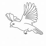 Bird Flying Coloring Drawing Pages Parrot Simple Amazing Birds Cartoon Color Print Kids Sparrow Floating Flight Sketch Cute Printable Getdrawings sketch template