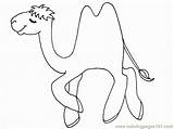 Camel Coloring Printable Pages Color Online Camels Animals sketch template