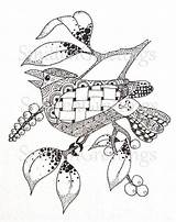 Zentangle sketch template