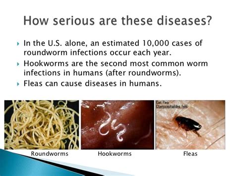 woodstock vet clinic roundworms
