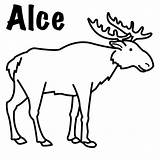 Alces Alce sketch template