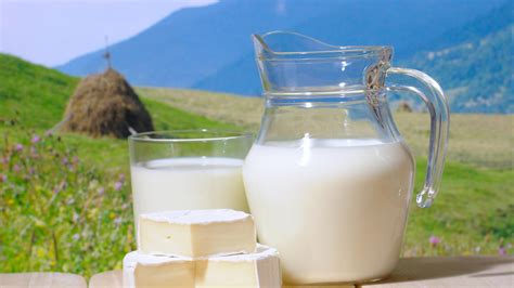 are you aware of the adulterations in milk how can you find out whether the milk is pure