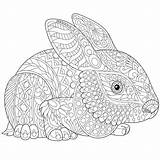 Easter Mandalas Book Zentangle Hare Conejos sketch template