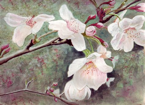 Bunny S Artwork Cherry Blossom Branch Watercolor Painting