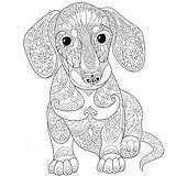 Coloring Dachshund Pages Dog Adults Printable Adult Dogs Zentangle Digital Sausage Color Antistress Cartoon Colouring Mandala Animal Print Animals Book sketch template