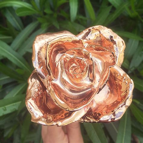 rose gold dipped rose  real rose preserved  gold