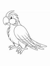 Parrot Coloring Pages Printable Print Animals sketch template