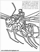 Ant Man Coloring Pages Printable Lego Antman Wasp Avengers Kids Marvel Toddler Realistic Captain America Template Choose Board Superhero sketch template