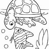 Turtle Shell Coloring Pages Realistic Getcolorings Color Sea sketch template