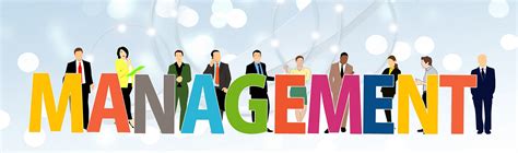 middle managers role  change agents nhh