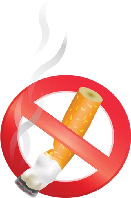 Contoh Gambar Poster Larangan Merokok Clipart Large Size Png Image