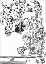 Marsupilami Coloring Pages Kids Coloriage Info Book sketch template
