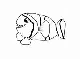 Fish Coloring Pages Realistic Printable Cute Kids Tropical Drawing Clipart Getdrawings sketch template