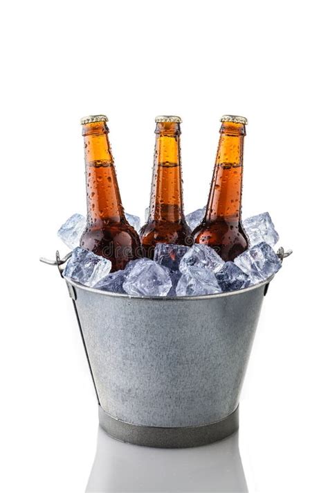 beer bottles   bucket  ice stock image image  drop beer