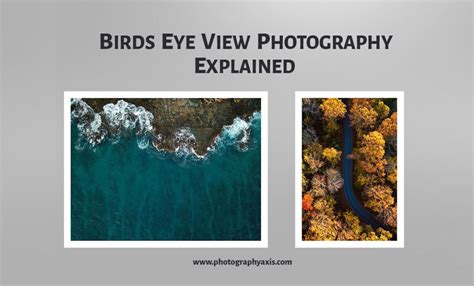 birds eye view photography    tips photographyaxis