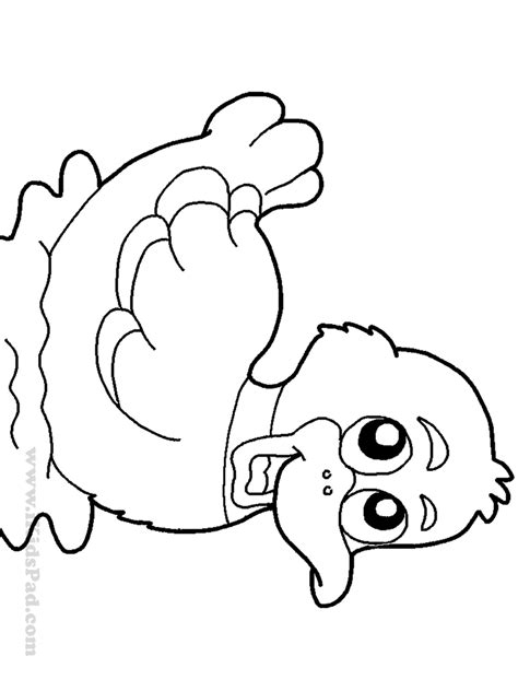 duck coloring pages  preschoolers thousand    printable