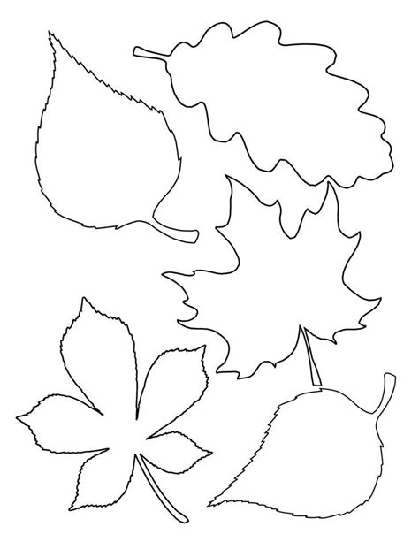 leaf stencils printable fall leaves templates printable  leaf