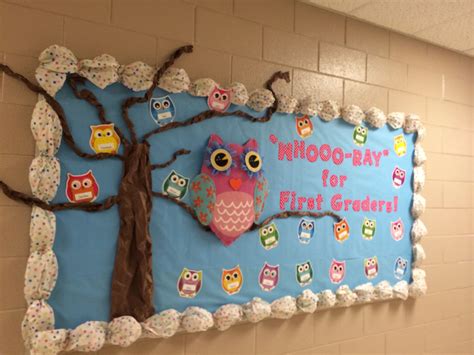 owl themed   bulletin board owl classroom decor owl theme