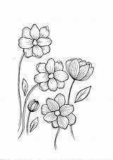 Wildflower Outline Drawings sketch template