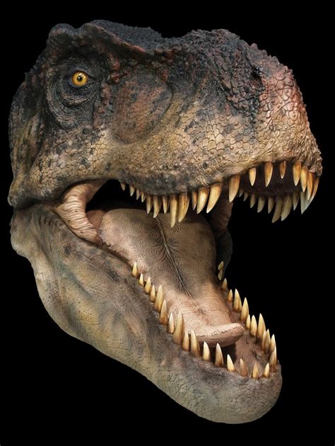 Dinosaurs T Rex Open Jaw Life Size Collectible Statue