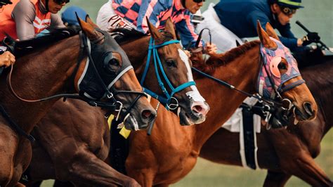 basics   horse race laureltokyocom