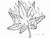 Coloring Weed Pages Leaf Pot Fire Marijuana Printable Plant Adults Print Kids Color Template Bettercoloring sketch template