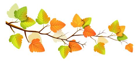 fall tree branch clipart png   cliparts  images