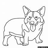 Corgi Welsh Thecolor sketch template