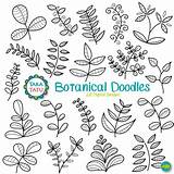 Clipart Botanical Doodles Stamp Digital Branches sketch template