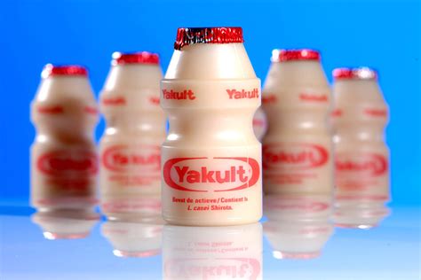 yakult tem lactobacilos biologos revelam  verdade