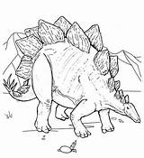 Coloring Dinosaur Stegosaurus Coloringfolder sketch template