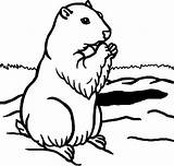 Groundhog Coloring Pages Color Kids Clipart Drawings Comments Animals Library sketch template