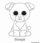Coloring Pages Beanie Boo Scraps Info Penguin Baby Ty sketch template