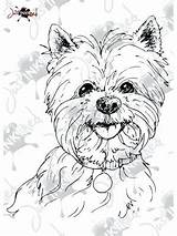 Coloring Yorkie Pages Westie Printable Terrier Color Getcolorings Head Print Highland Getdrawings sketch template